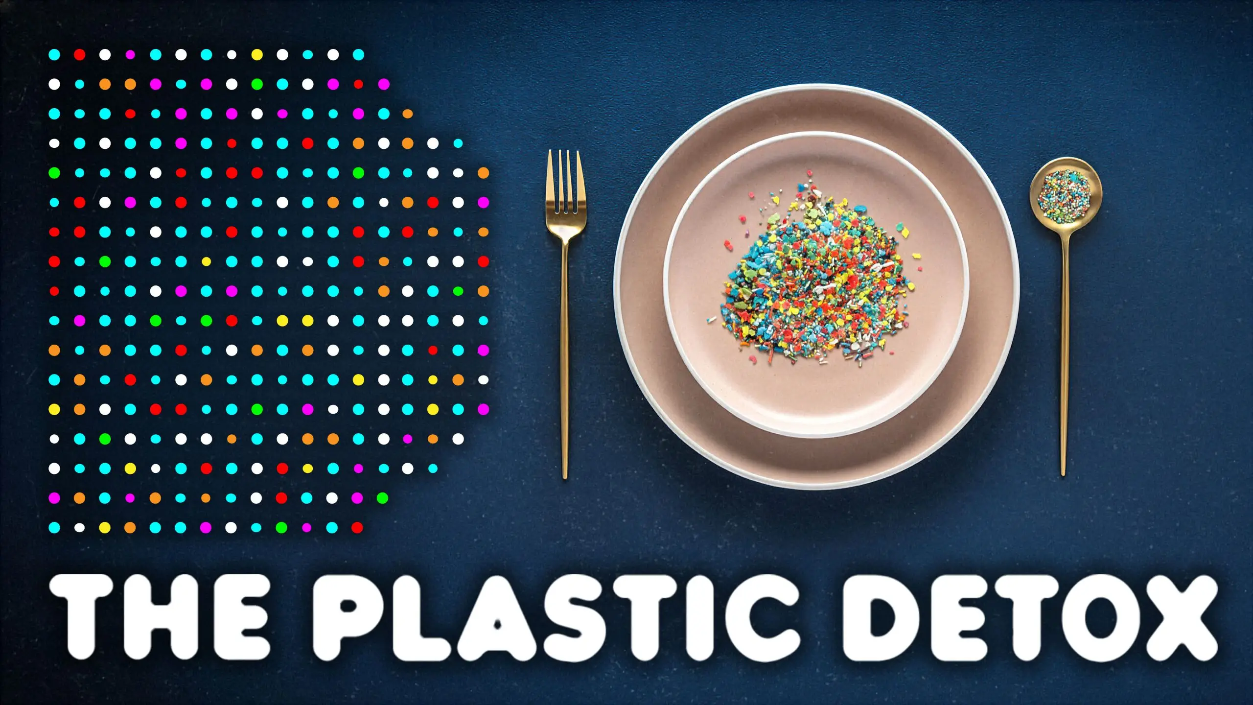 The Plastic Detox: Dinner & Documentary Screening